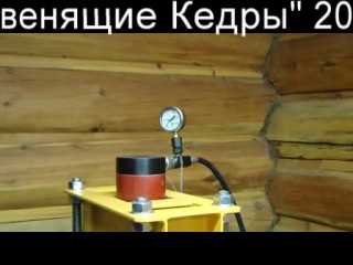 купить тестостерон пропионат в чите